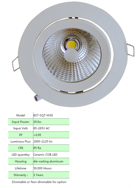 LED DownLighters