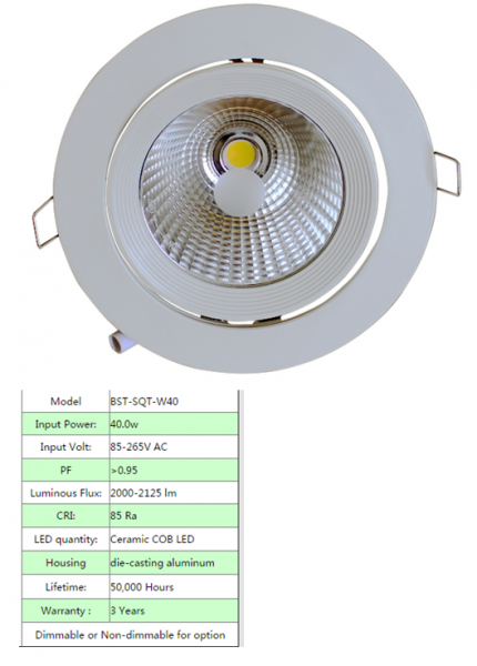 LED DownLighters