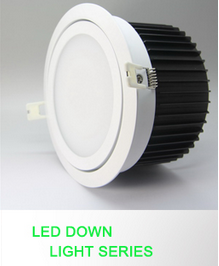 LED DownLighters