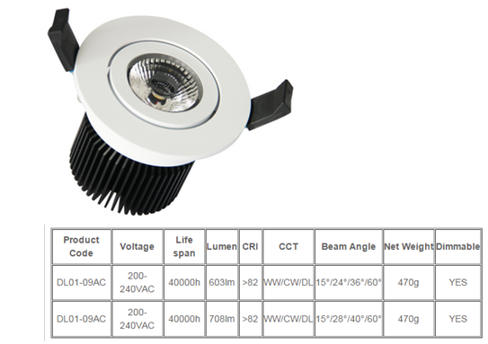 LED DownLighters