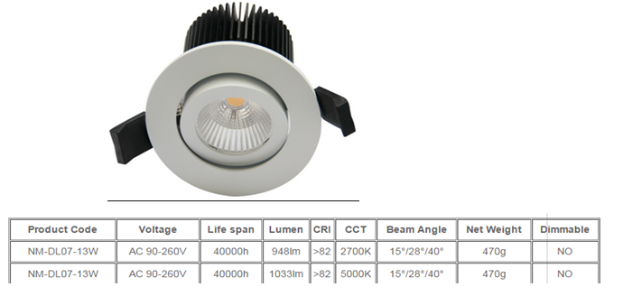 LED DownLighters