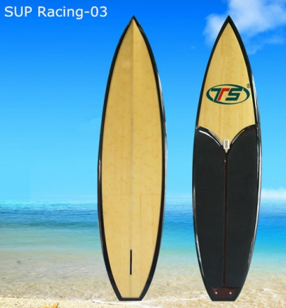 Surfing Board