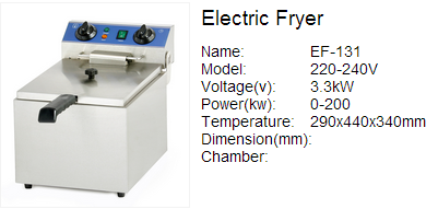 Electric Fryer