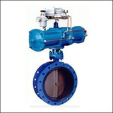 Butterfly Valves