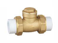 Check Valves