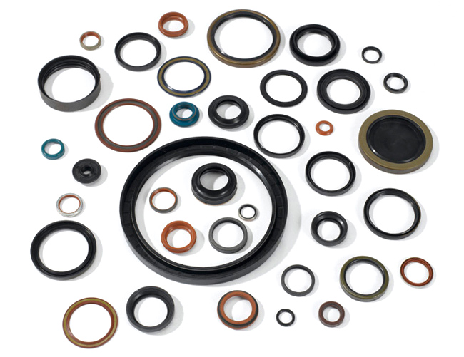 Oil Seal