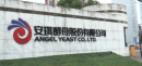 Angel Yeast Co., Ltd.