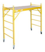 Multifunctional Scaffold（MFS.6）