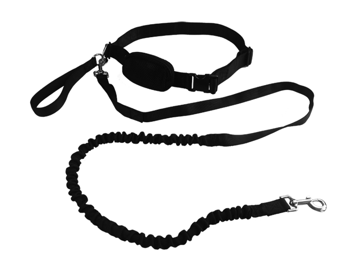 Pet leash