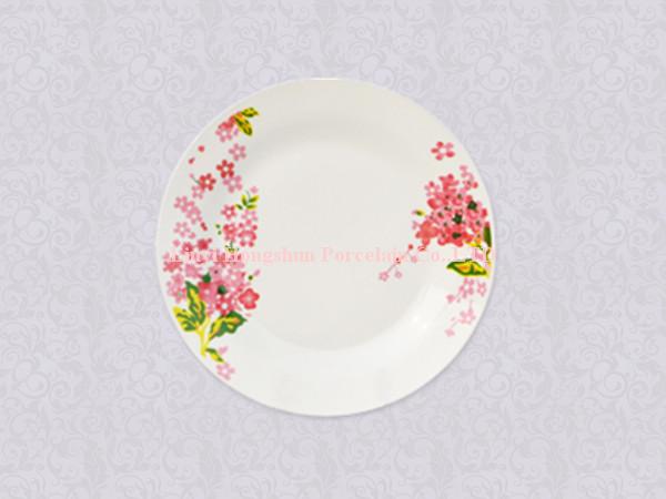 Porcelain Plates